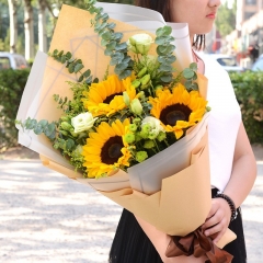 温暖阳光