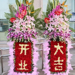 骏业崇隆 （单个）