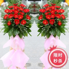 事业顺利  单个