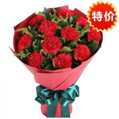 温暖陪伴