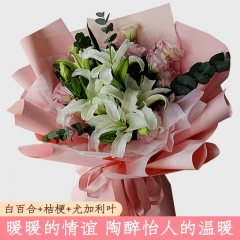清澈玲珑 清澈玲珑